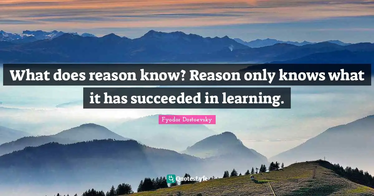 What does reason know? Reason only knows what it has succeeded in learning.