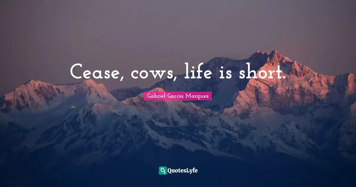 Cease, cows, life is short.