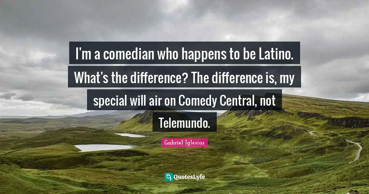 I'm a comedian who happens to be Latino. What's the difference? The difference is, my special will air on Comedy Central, not Telemundo.