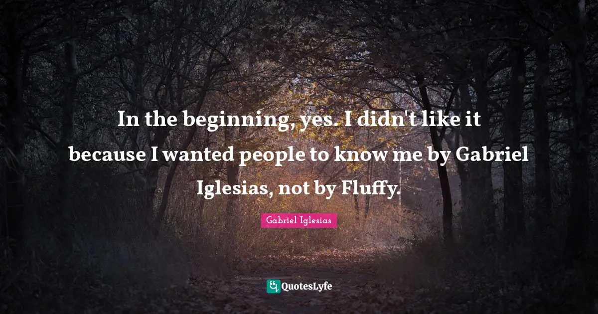 In the beginning, yes. I didn't like it because I wanted people to know me by Gabriel Iglesias, not by Fluffy.