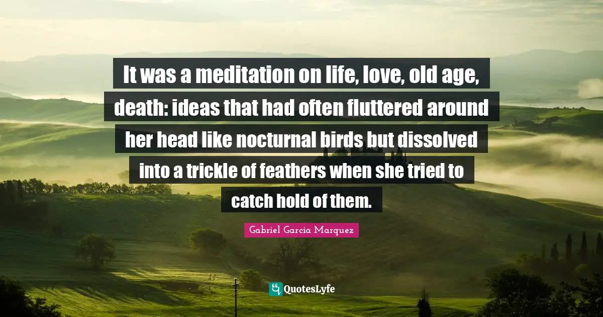 It was a meditation on life, love, old age, death: ideas that had often fluttered around her head like nocturnal birds but dissolved into a trickle of feathers when she tried to catch hold of them.