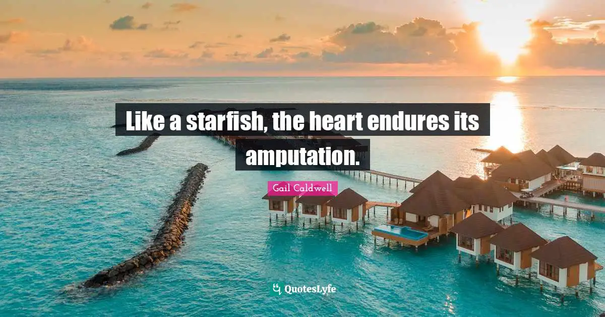 Like a starfish, the heart endures its amputation.
