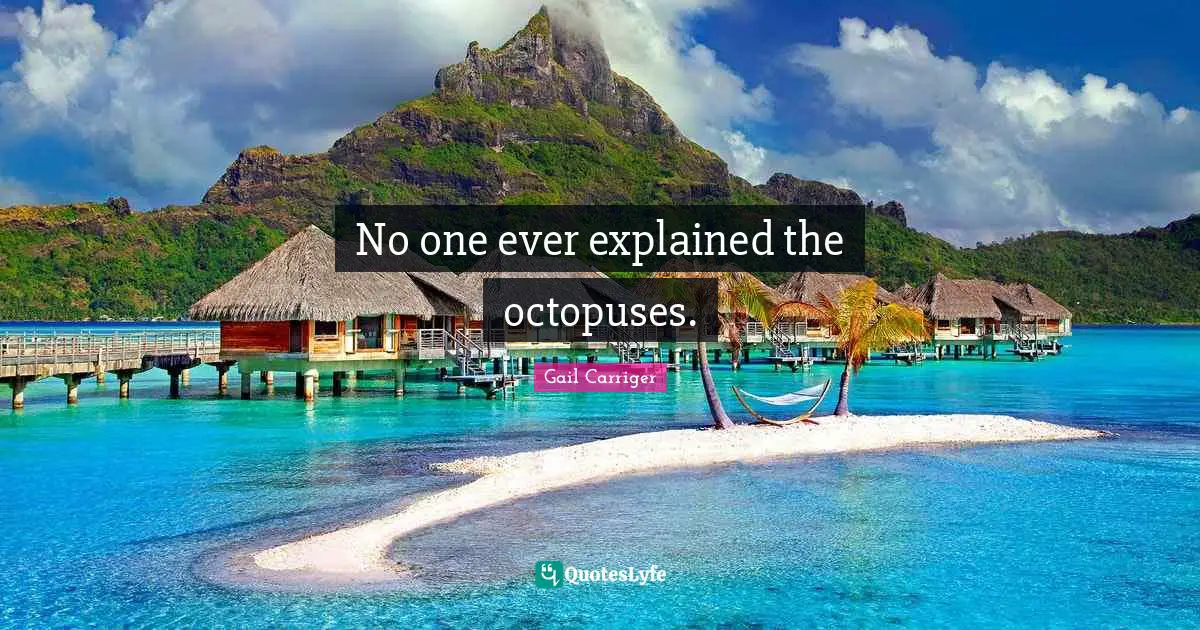 No one ever explained the octopuses.