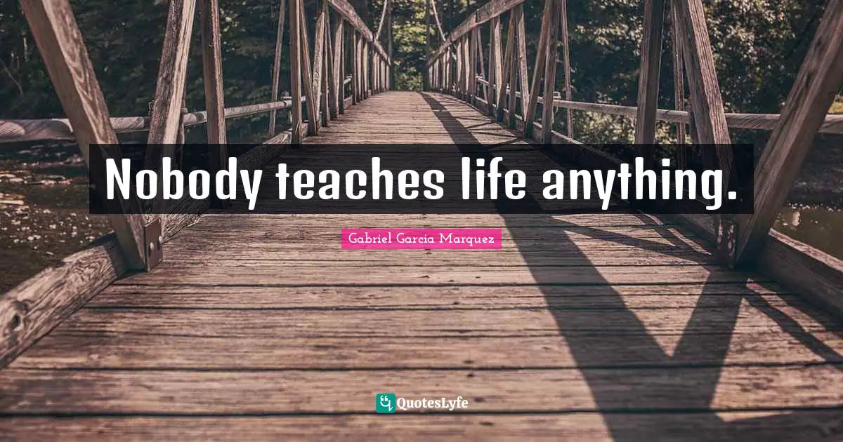 Nobody teaches life anything.