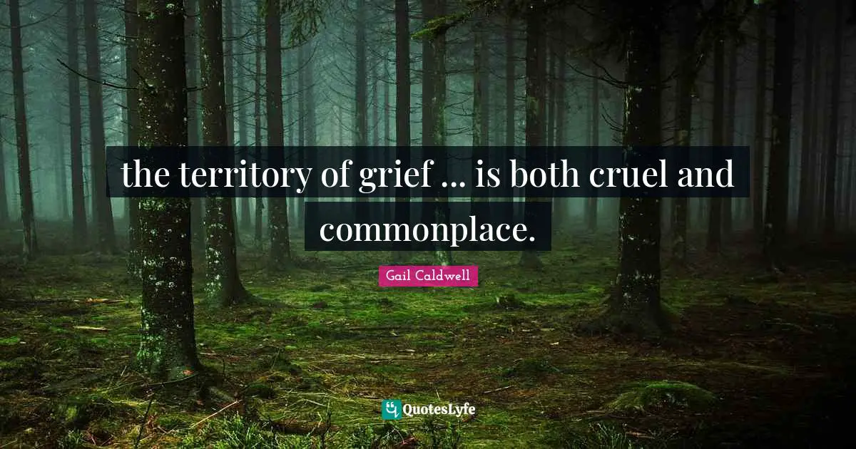 the territory of grief ... is both cruel and commonplace.