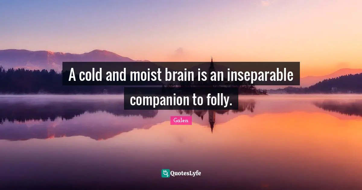Folly Quotes: "A cold and moist brain is an inseparable companion to folly."