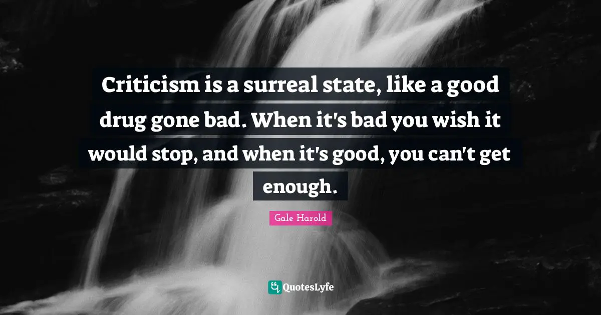 Criticism is a surreal state, like a good drug gone bad. When it's bad you wish it would stop, and when it's good, you can't get enough.