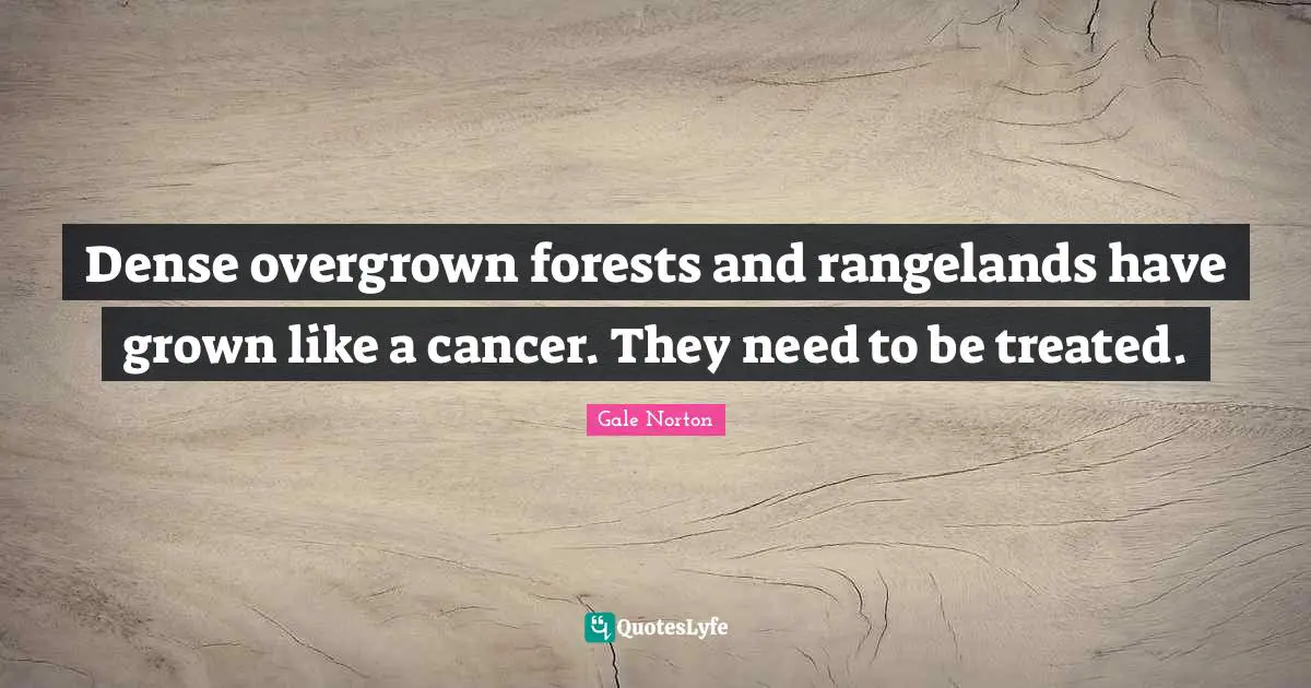 Dense overgrown forests and rangelands have grown like a cancer. They need to be treated.