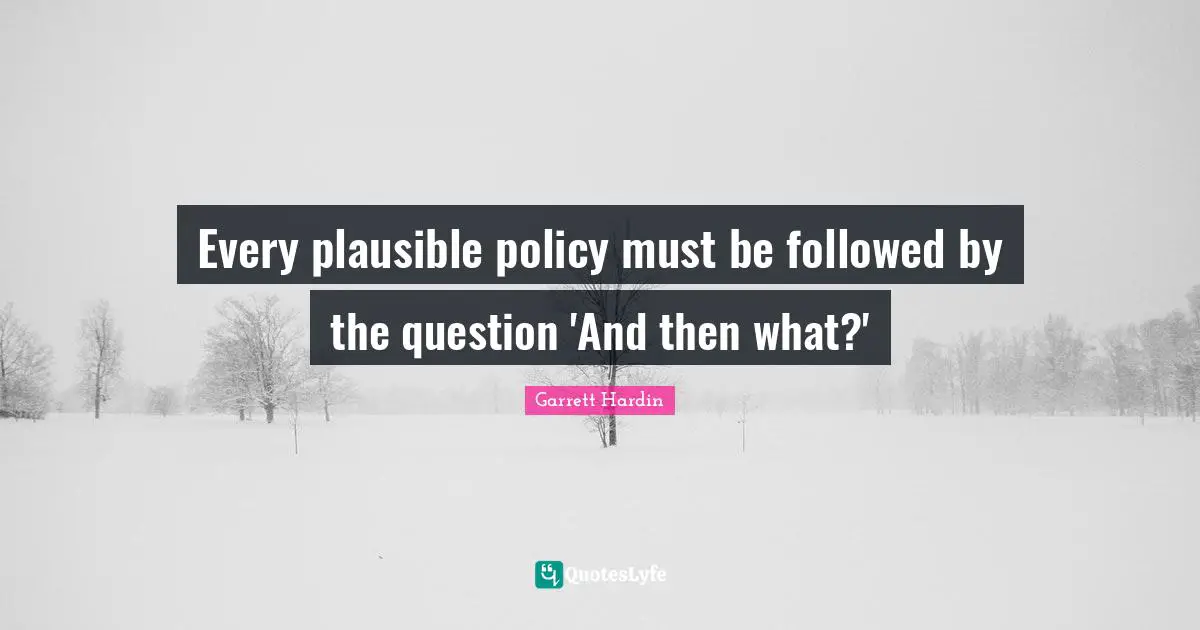 Every plausible policy must be followed by the question 'And then what?'