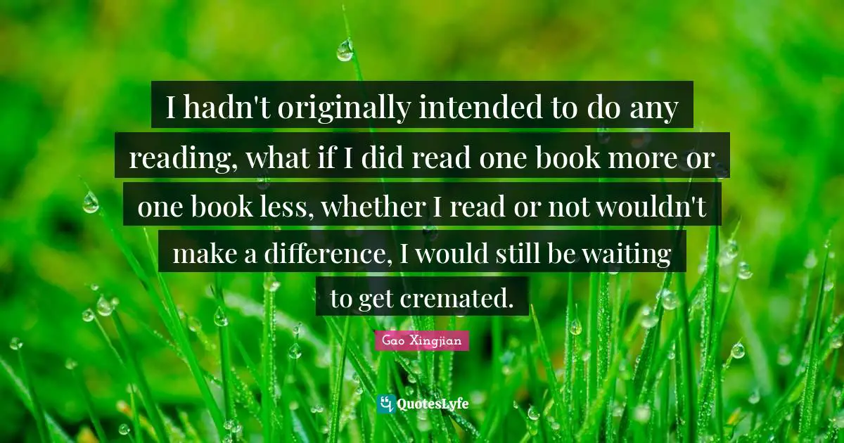 I hadn't originally intended to do any reading, what if I did read one book more or one book less, whether I read or not wouldn't make a difference, I would still be waiting to get cremated.
