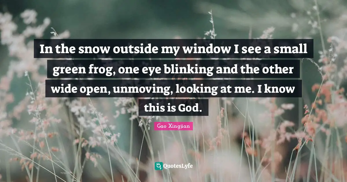 In the snow outside my window I see a small green frog, one eye blinking and the other wide open, unmoving, looking at me. I know this is God.