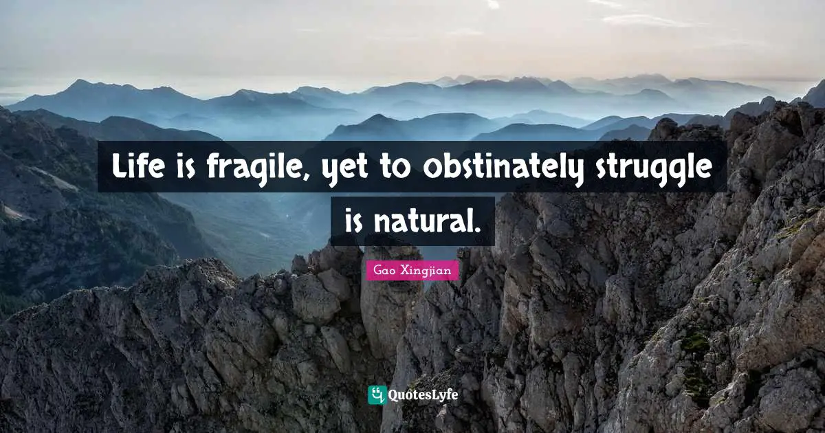 Life is fragile, yet to obstinately struggle is natural.