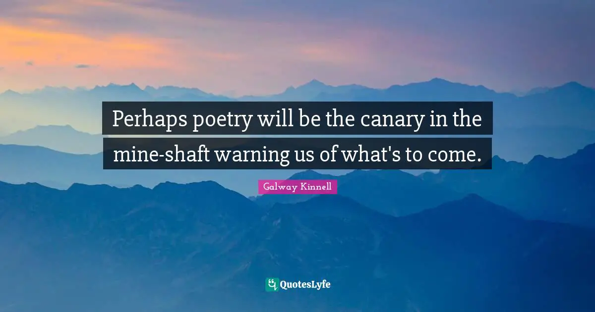 Perhaps poetry will be the canary in the mine-shaft warning us of what's to come.