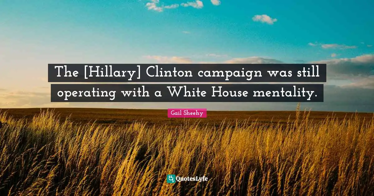 The [Hillary] Clinton campaign was still operating with a White House mentality.
