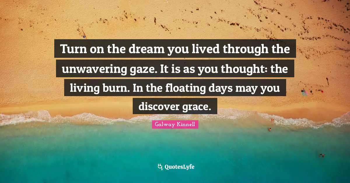 Turn on the dream you lived through the unwavering gaze. It is as you thought: the living burn. In the floating days may you discover grace.
