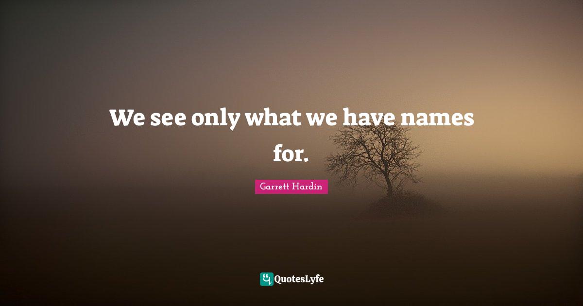 We see only what we have names for.