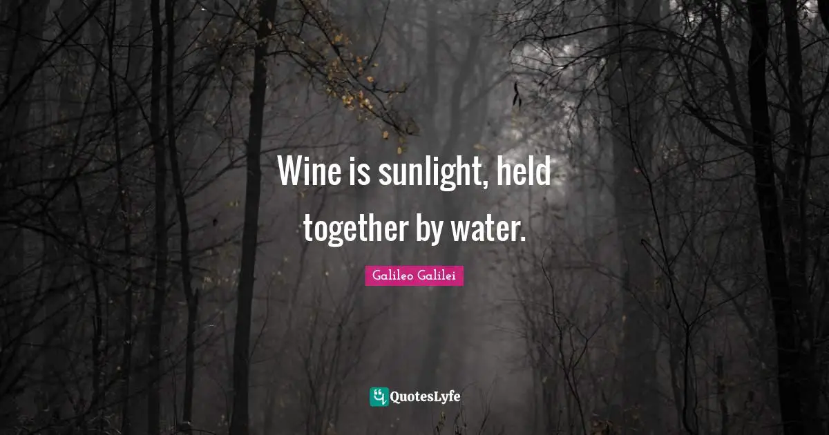 Galileo Galilei Quotes: "Wine is sunlight, held together by water."