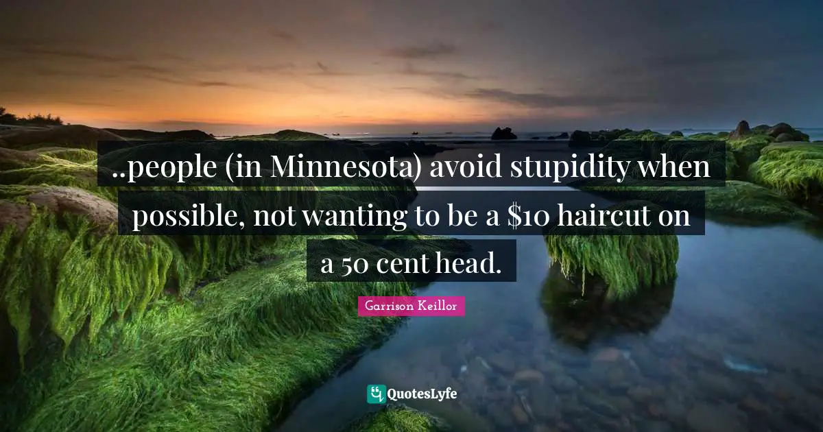 ..people (in Minnesota) avoid stupidity when possible, not wanting to be a $10 haircut on a 50 cent head.