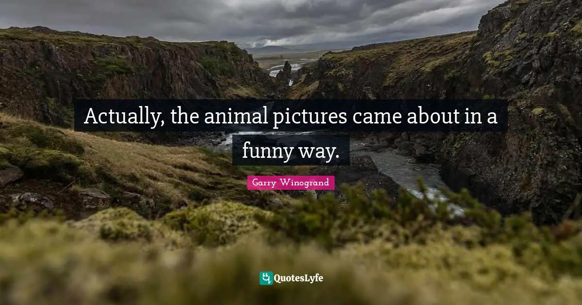 Actually, the animal pictures came about in a funny way.