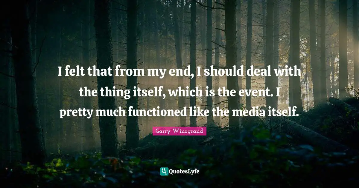 I felt that from my end, I should deal with the thing itself, which is the event. I pretty much functioned like the media itself.