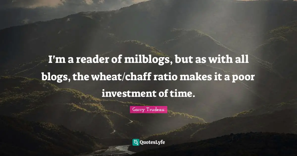 I'm a reader of milblogs, but as with all blogs, the wheat/chaff ratio makes it a poor investment of time.