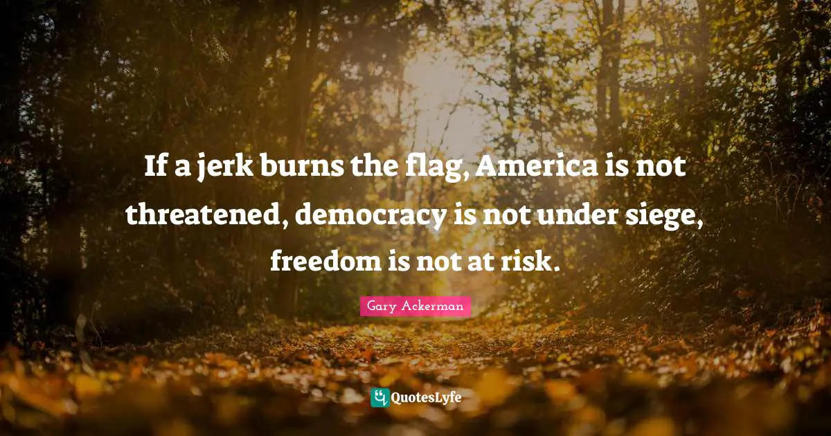 If a jerk burns the flag, America is not threatened, democracy is not under siege, freedom is not at risk.