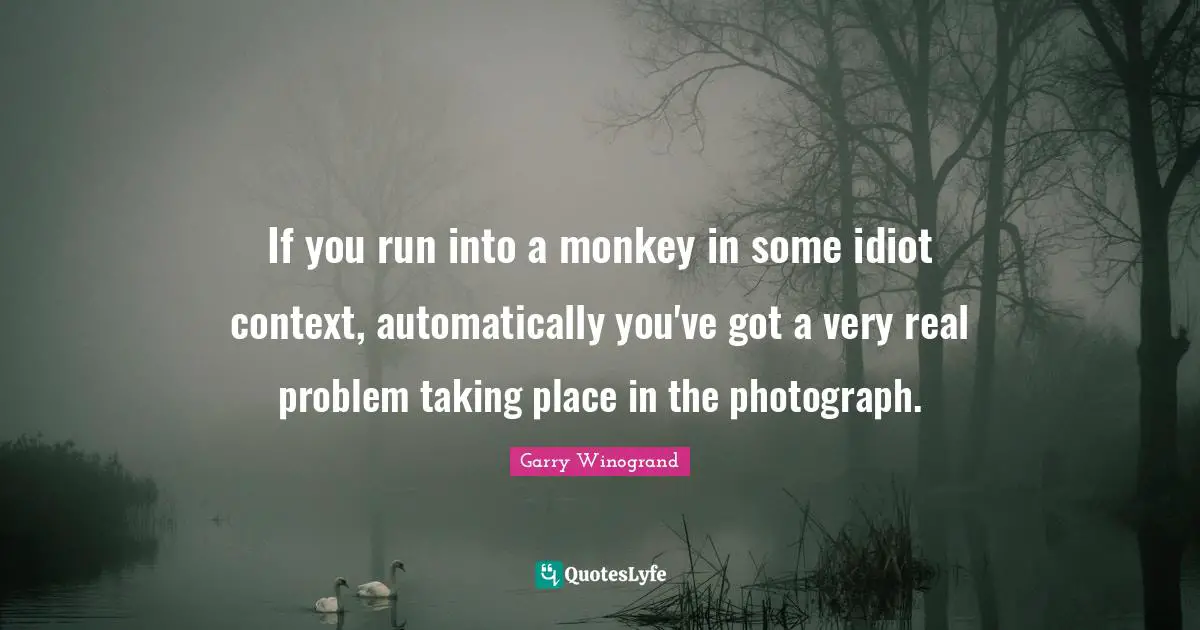 If you run into a monkey in some idiot context, automatically you've got a very real problem taking place in the photograph.