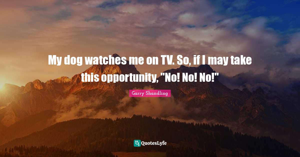 My dog watches me on TV. So, if I may take this opportunity, "No! No