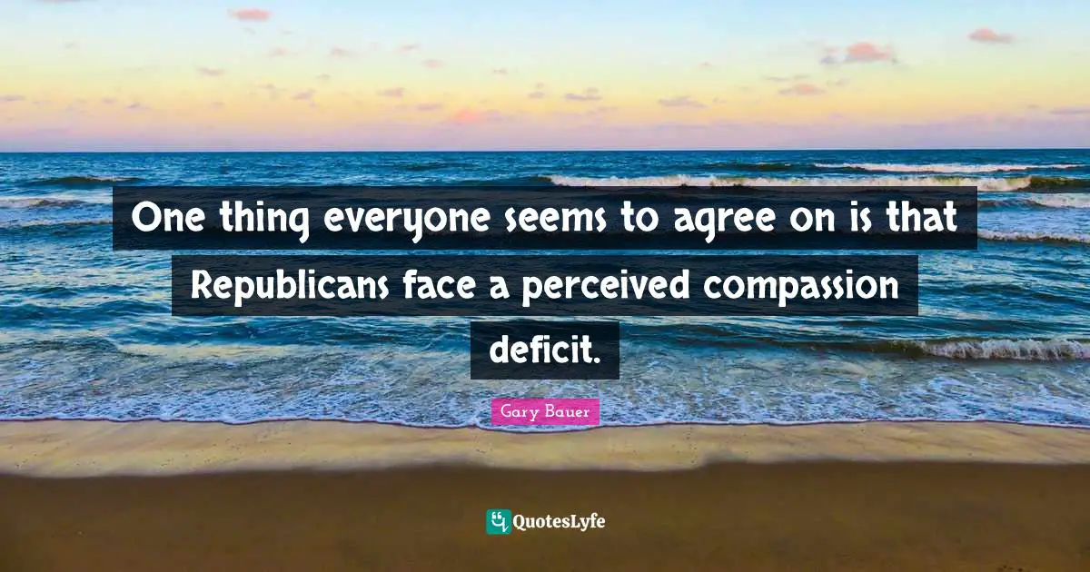 One thing everyone seems to agree on is that Republicans face a perceived compassion deficit.