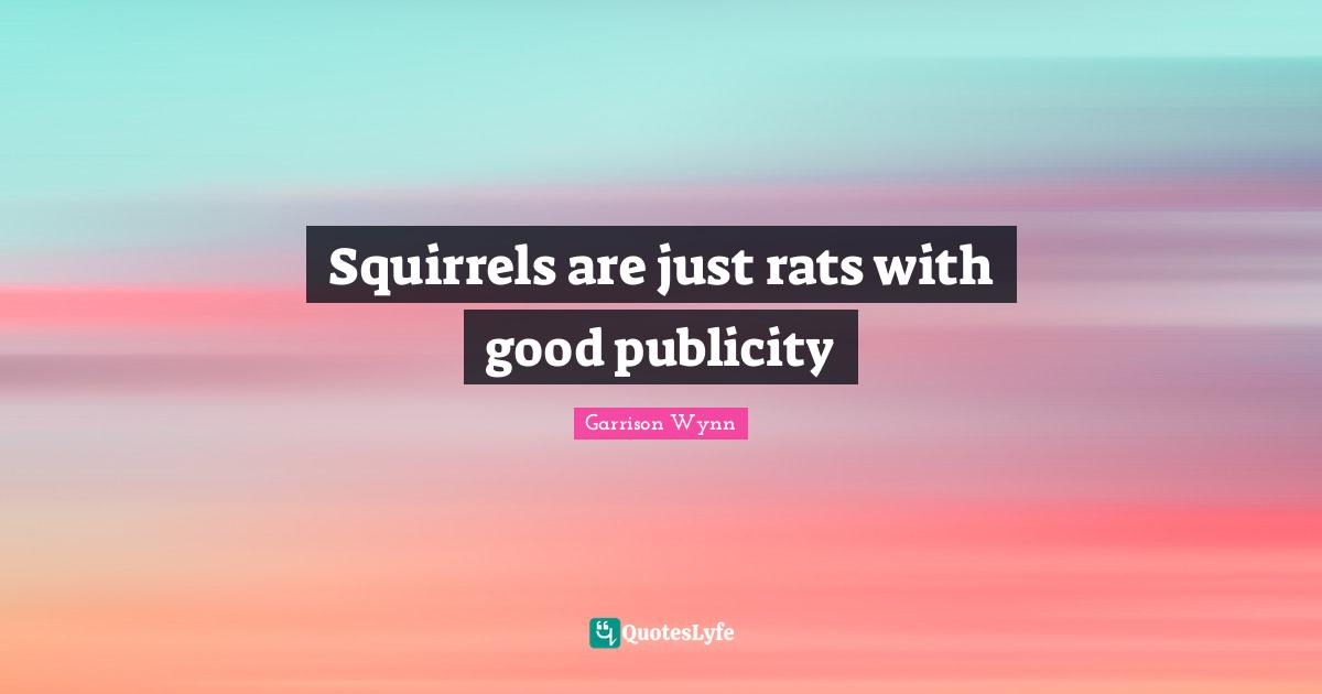 Squirrels are just rats with good publicity
