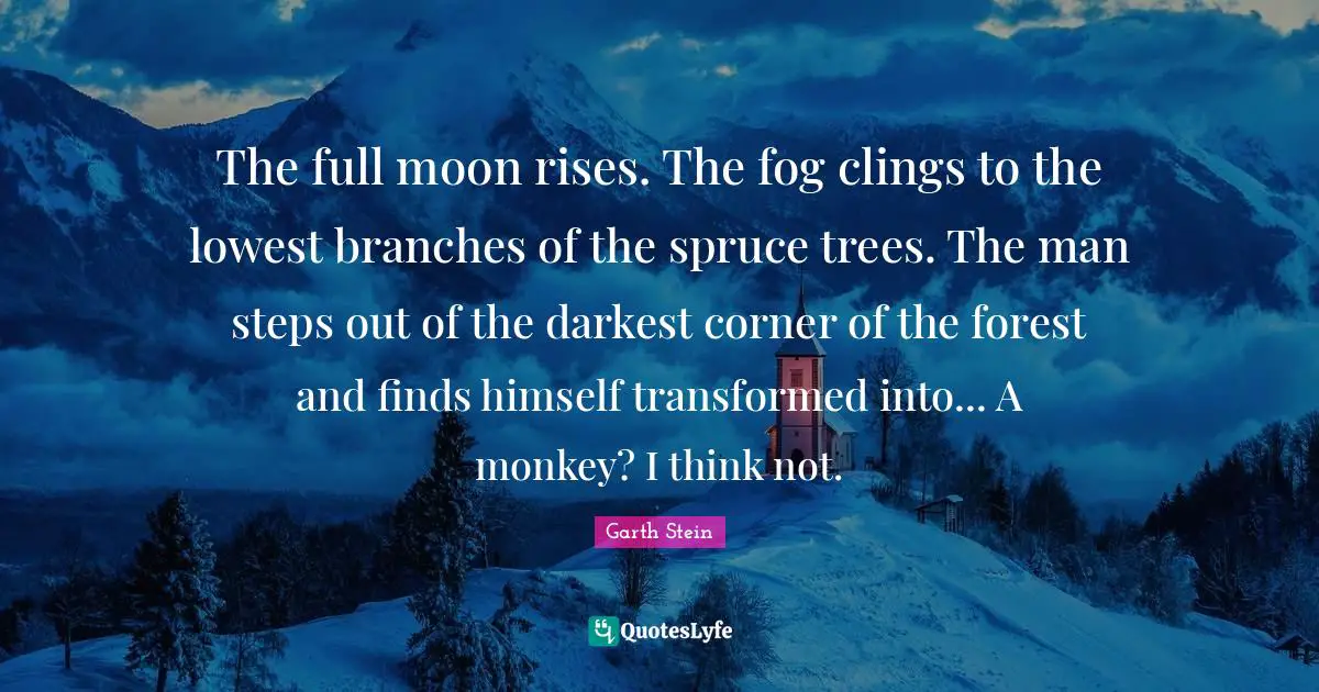 The full moon rises. The fog clings to the lowest branches of the spruce trees. The man steps out of the darkest corner of the forest and finds himself transformed into... A monkey? I think not.