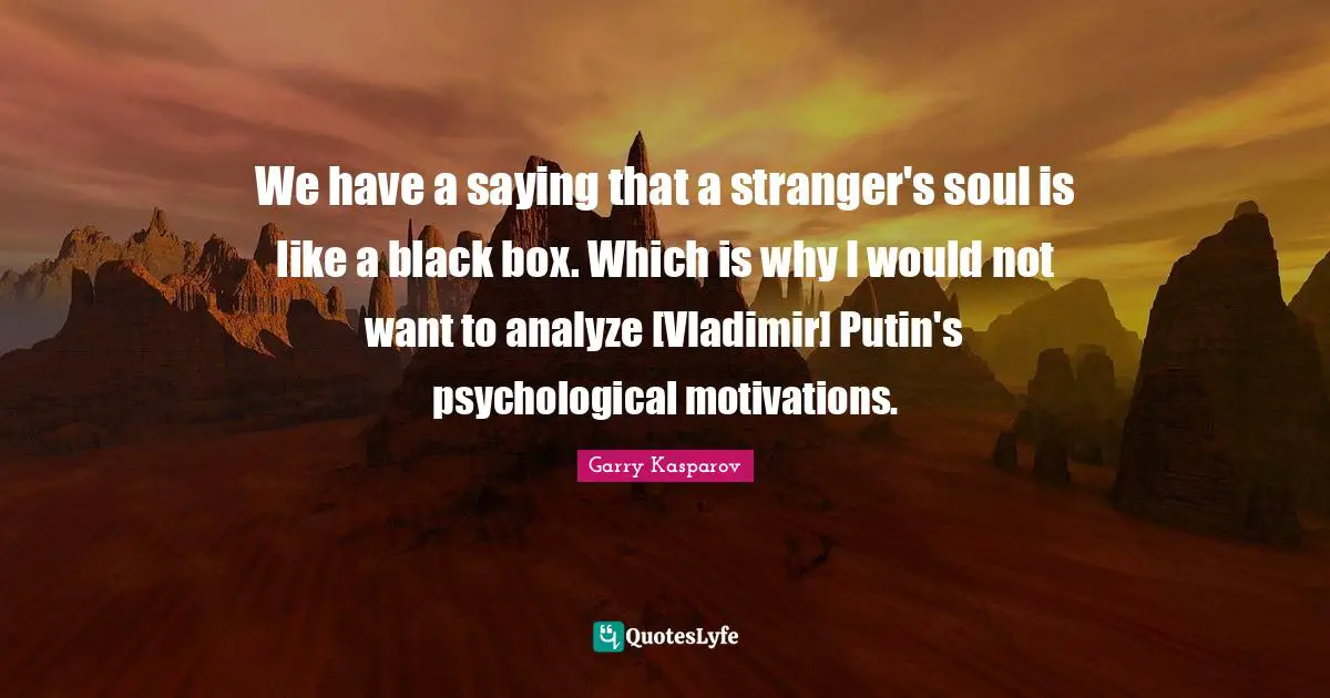 We have a saying that a stranger's soul is like a black box. Which is why I would not want to analyze [Vladimir] Putin's psychological motivations.