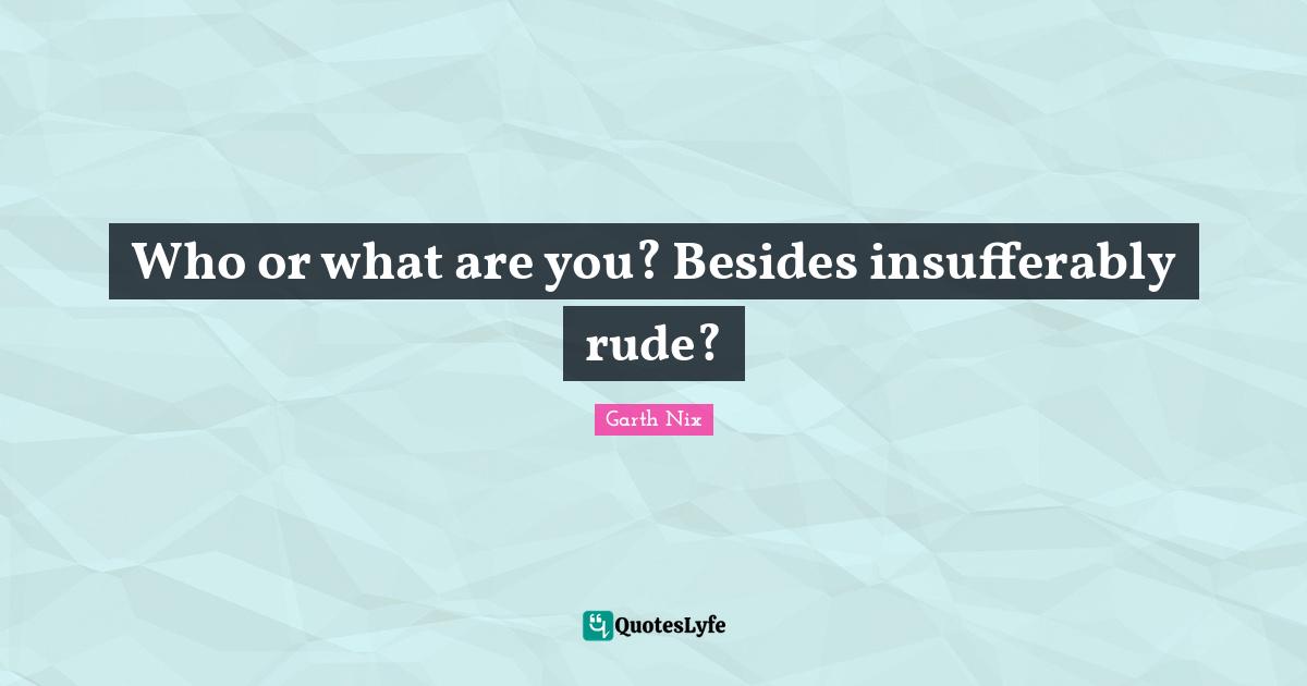 Who or what are you? Besides insufferably rude?