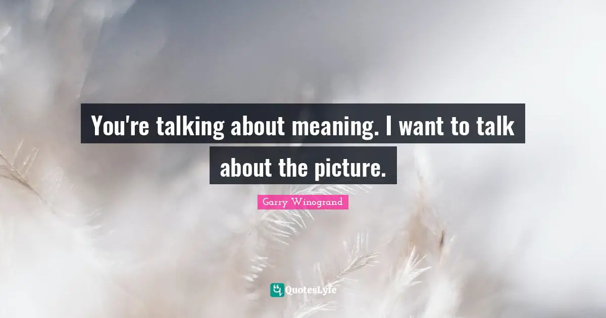 Garry Winogrand Quotes: "You're talking about meaning. I want to talk about the picture."