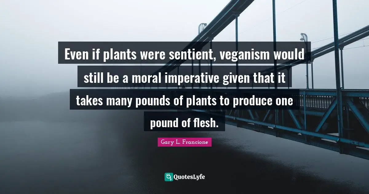 Even if plants were sentient, veganism would still be a moral imperative given that it takes many pounds of plants to produce one pound of flesh.