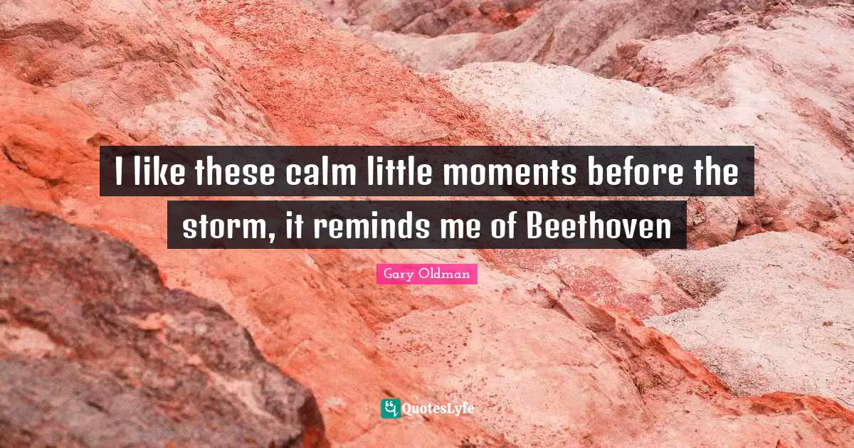 I like these calm little moments before the storm, it reminds me of Beethoven