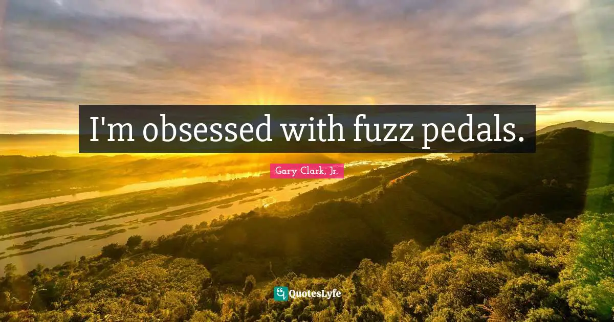 I'm obsessed with fuzz pedals.