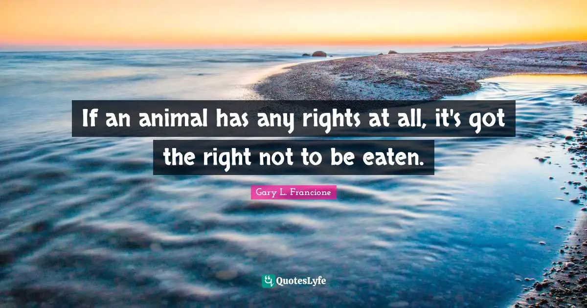 If an animal has any rights at all, it's got the right not to be eaten.