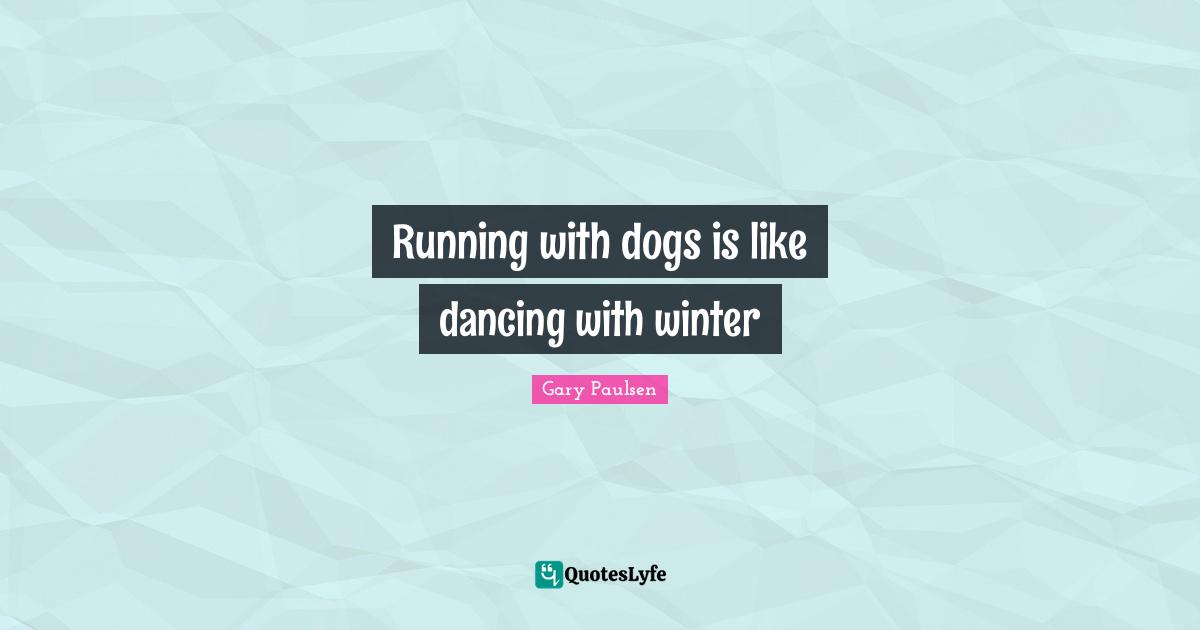 Running with dogs is like dancing with winter