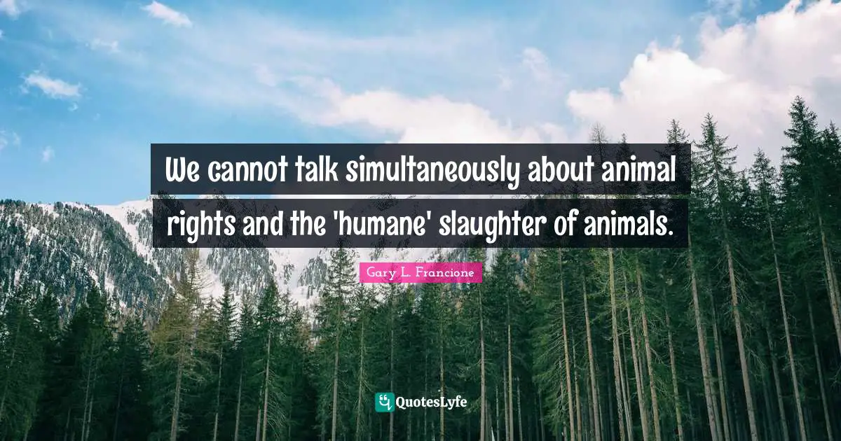 Animal Rights Quotes: "We cannot talk simultaneously about animal rights and the 'humane' slaughter of animals."