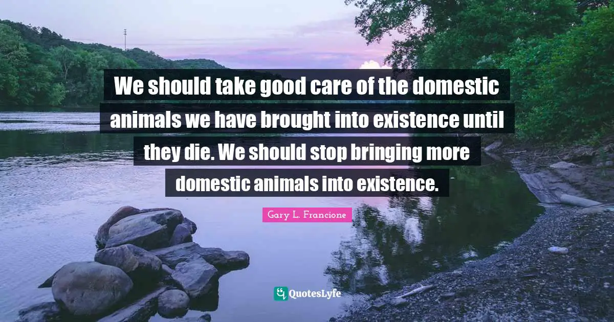 We should take good care of the domestic animals we have brought into existence until they die. We should stop bringing more domestic animals into existence.