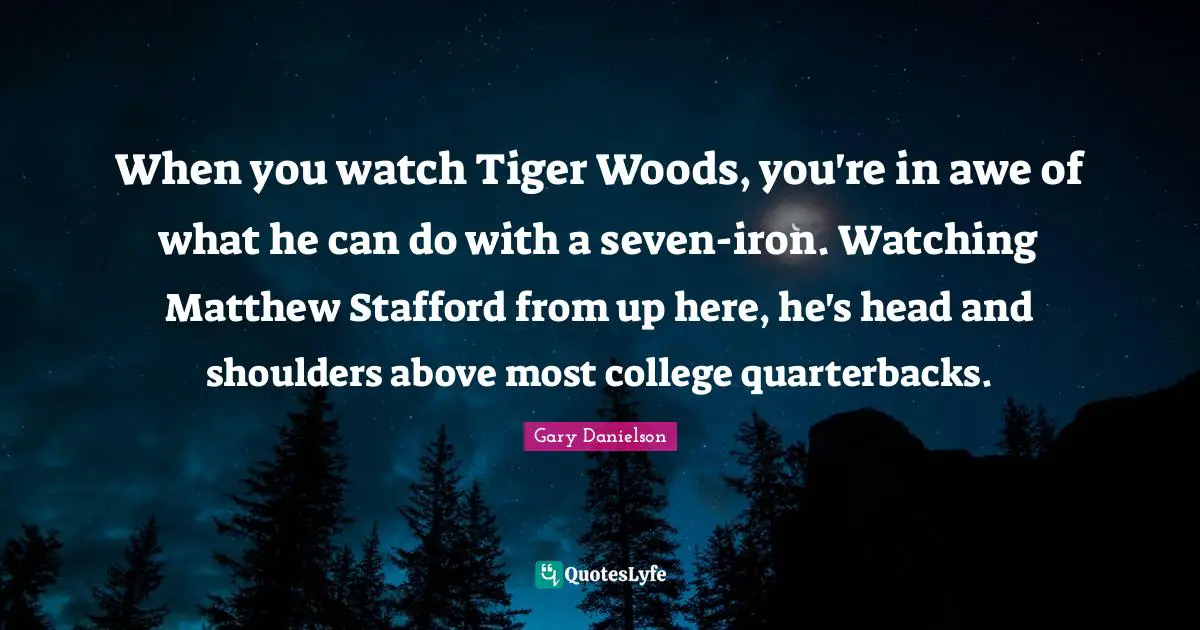 When you watch Tiger Woods, you're in awe of what he can do with a seven-iron. Watching Matthew Stafford from up here, he's head and shoulders above most college quarterbacks.