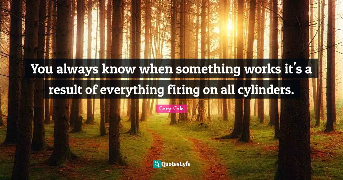 Gary Cole Quotes: "You always know when something works it's a result of everything firing on all cylinders."