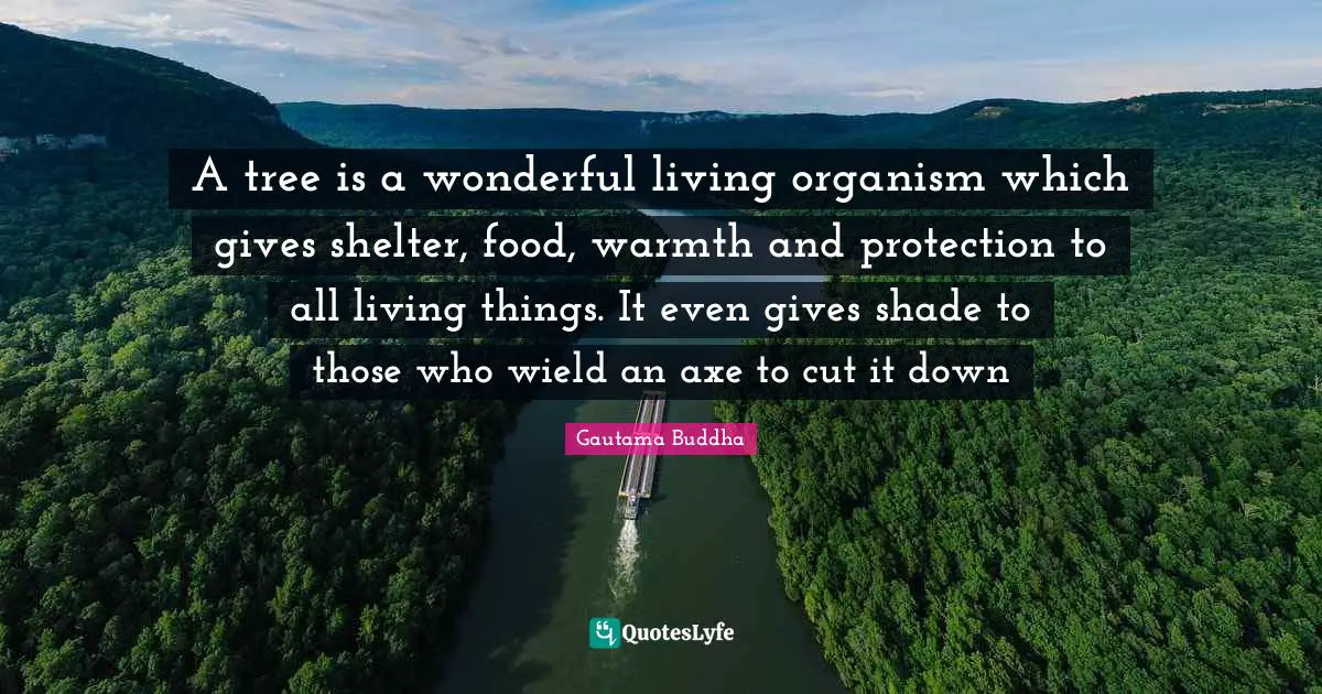 Warmth Quotes: "A tree is a wonderful living organism which gives shelter, food, warmth and protection to all living things. It even gives shade to those who wield an axe to cut it down"