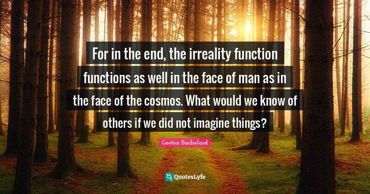 For in the end, the irreality function functions as well in the face of man as in the face of the cosmos. What would we know of others if we did not imagine things?