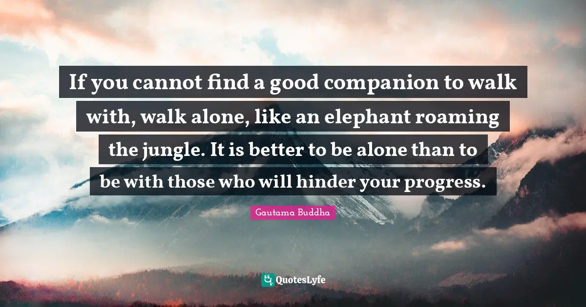 If you cannot find a good companion to walk with, walk alone, like an elephant roaming the jungle. It is better to be alone than to be with those who will hinder your progress.