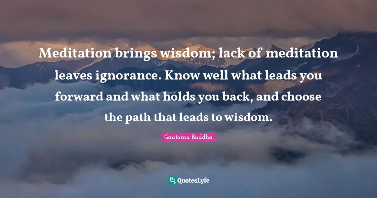 Meditation brings wisdom; lack of meditation leaves ignorance. Know well what leads you forward and what holds you back, and choose the path that leads to wisdom.