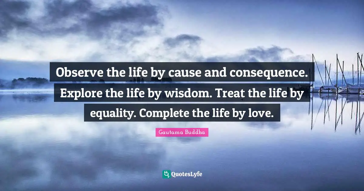 Observe the life by cause and consequence. Explore the life by wisdom. Treat the life by equality. Complete the life by love.
