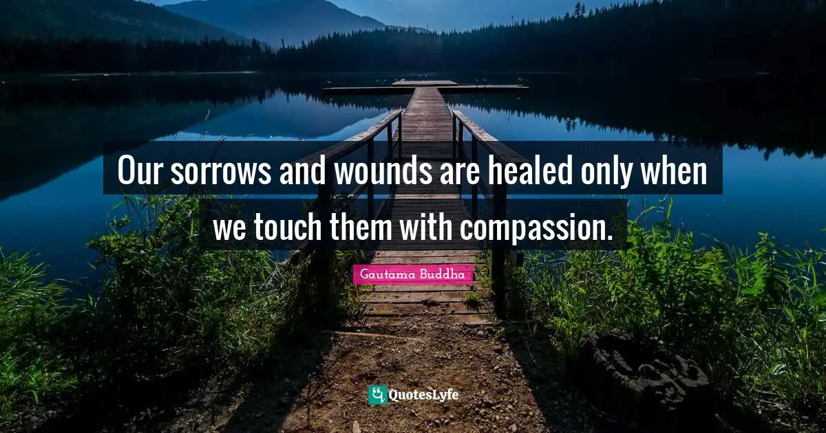 Gautama Buddha Quotes: "Our sorrows and wounds are healed only when we touch them with compassion."
