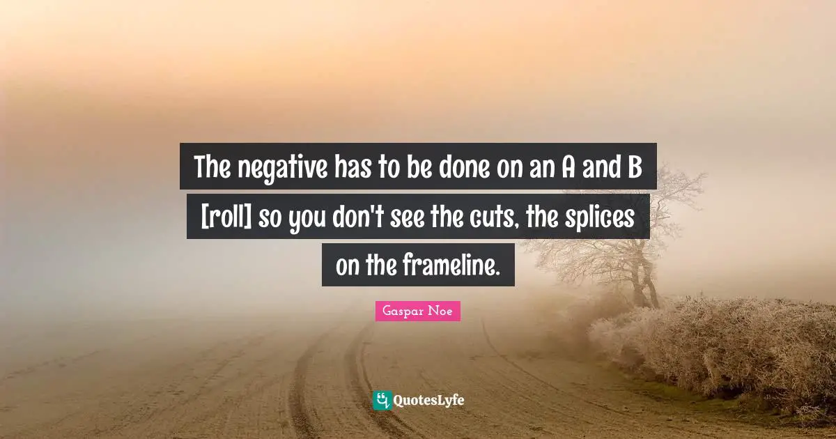 Gaspar Noe Quotes: "The negative has to be done on an A and B [roll] so you don't see the cuts, the splices on the frameline."